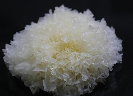 銀耳也是生活中比較常見(jiàn)的食物還可以當(dāng)作一種菜系