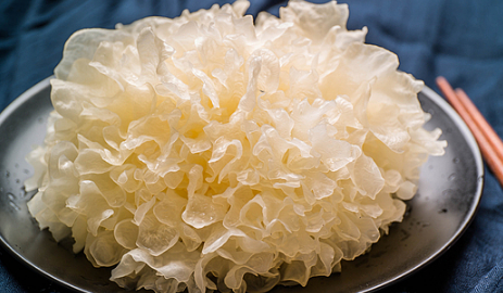 繡球菌是一種非常營(yíng)養(yǎng)的食用菌