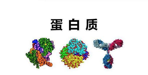 國大研究人員發(fā)現(xiàn)促進化療耐藥的蛋白質(zhì)