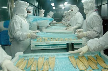 擦拭可提高加工廠的食品安全性