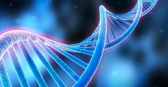 Moffitt研究人員完成了對Merkel細胞癌患者的最大基因組分析