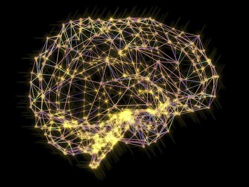 科學家發(fā)現(xiàn)腦細胞如何應對營養(yǎng)不足并從中恢復