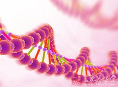 人類脂肪細胞的微小RNA可以損害巨噬細胞消除膽固醇的能力