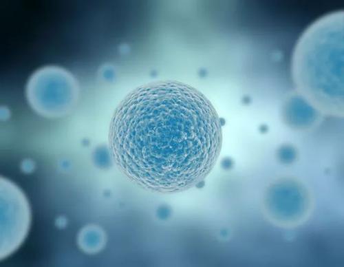 科學(xué)家們發(fā)現(xiàn)了為未來治療提供信息的機制