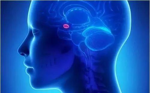 研究人員對(duì)兒童腦癌診斷和治療的新見解