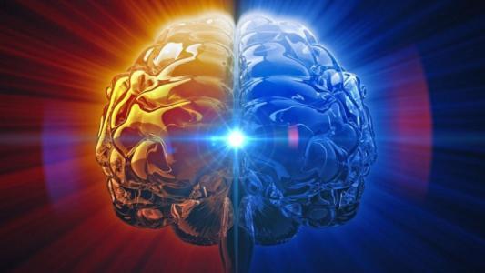 密西根大學的研究發(fā)現(xiàn)在決策過程中大腦內(nèi)的亞細胞計算