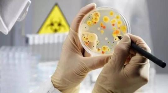 多管齊下的分析揭示了微生物在貧磷環(huán)境中的生存方式