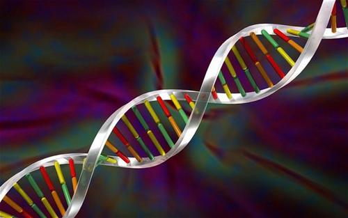 科學(xué)家發(fā)現(xiàn)影響皮膚癌進展的RNA