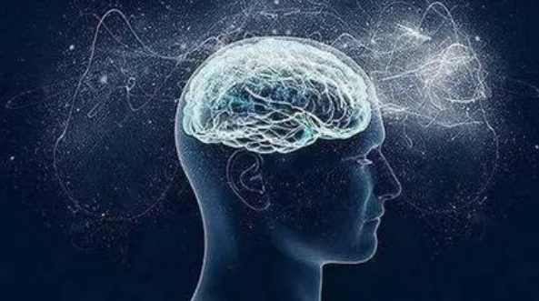 關于壓力激素如何影響大腦的新發(fā)現(xiàn)