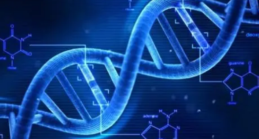 研究人員已經(jīng)確定了一種測量DNA扭轉剛度的新方法