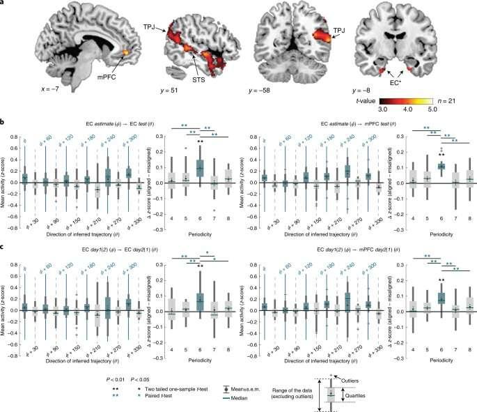 加州大學(xué)戴維斯分校思維與大腦中心的新研究工作