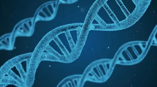 新的開放獲取資源反駁了人類行為基因組學(xué)研究的錯誤信息