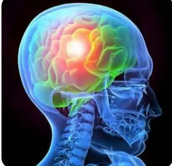 外傷性腦損傷如何長期影響大腦的分子見解