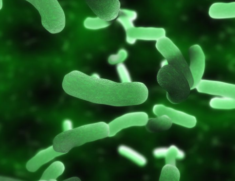 銀納米粒子可以提高微生物燃料電池的性能