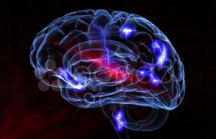 研究人員發(fā)現(xiàn)嚙齒動物的大腦回路可能導致疼痛的負面情緒方面