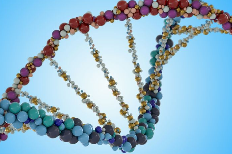 工程師設計了一種方法來選擇性地開啟人體細胞中的 RNA 療法
