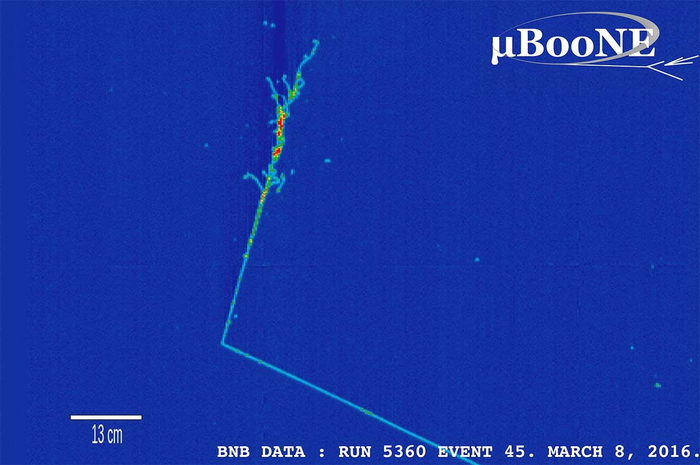 伊利諾伊理工大學物理學家在宇宙中尋找新中微子的突破性發(fā)現(xiàn)的一部分