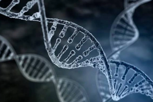 科學(xué)家可能需要重新思考基因組學(xué)如何影響強迫癥的風(fēng)險