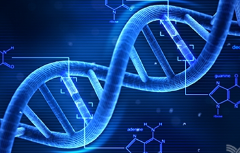 開發(fā)新的基因?qū)懭爰夹g以獲得更有效和安全的療法