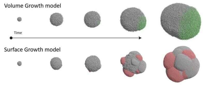 科學(xué)家發(fā)現(xiàn)腫瘤的生長方式會(huì)影響他們的基因