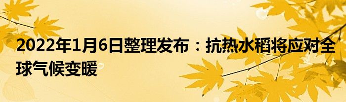 2022年1月6日整理發(fā)布：抗熱水稻將應(yīng)對全球氣候變暖