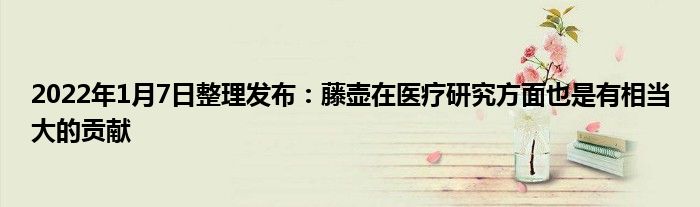 2022年1月7日整理發(fā)布：藤壺在醫(yī)療研究方面也是有相當(dāng)大的貢獻