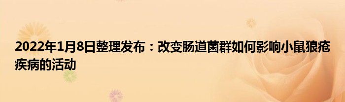 2022年1月8日整理發(fā)布：改變腸道菌群如何影響小鼠狼瘡疾病的活動