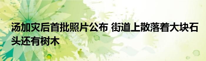 湯加災(zāi)后首批照片公布 街道上散落著大塊石頭還有樹木