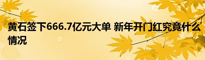 黃石簽下666.7億元大單 新年開門紅究竟什么情況