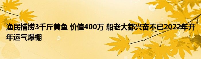 漁民捕撈3千斤黃魚 價值400萬 船老大都興奮不已2022年開年運氣爆棚