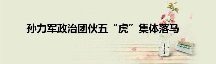 孫力軍政治團(tuán)伙五“虎”集體落馬