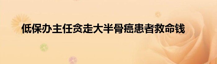 低保辦主任貪走大半骨癌患者救命錢(qián)