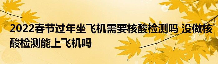 2022春節(jié)過年坐飛機需要核酸檢測嗎 沒做核酸檢測能上飛機嗎