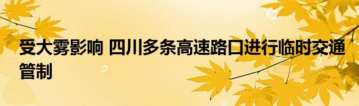 受大霧影響 四川多條高速路口進(jìn)行臨時交通管制
