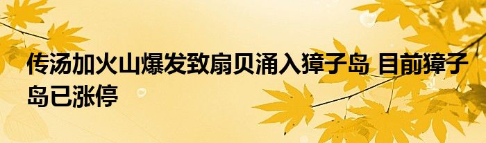 傳湯加火山爆發(fā)致扇貝涌入獐子島 目前獐子島已漲停