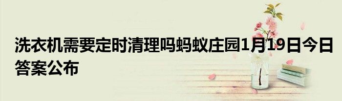洗衣機(jī)需要定時(shí)清理嗎螞蟻莊園1月19日今日答案公布