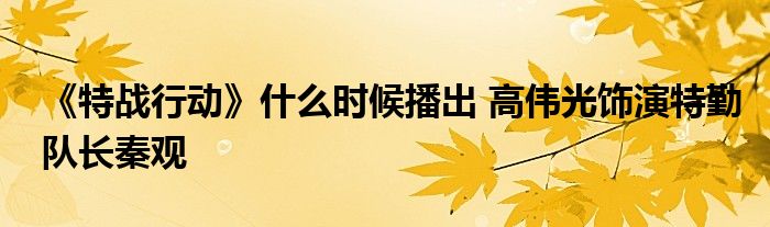 《特戰(zhàn)行動(dòng)》什么時(shí)候播出 高偉光飾演特勤隊(duì)長秦觀