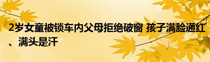 2歲女童被鎖車內(nèi)父母拒絕破窗 孩子滿臉通紅、滿頭是汗