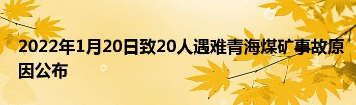 2022年1月20日致20人遇難青海煤礦事故原因公布