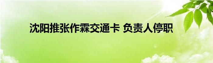 沈陽推張作霖交通卡 負責人停職