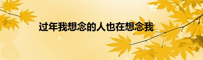 過年我想念的人也在想念我