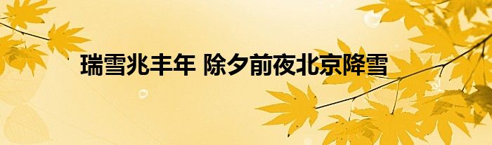 瑞雪兆豐年 除夕前夜北京降雪