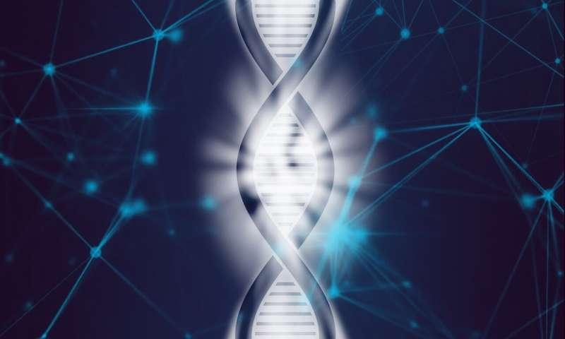 多發(fā)性硬化癥風險的新遺傳線索