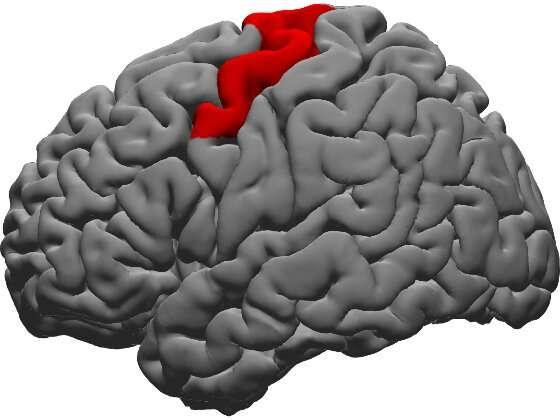 研究證實了負責確保人們按預期說話的大腦區(qū)域部位