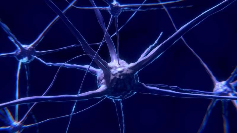 在尋求 TBI 治療的過程中 星形膠質細胞可能是靶心