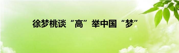 徐夢(mèng)桃談“高”舉中國(guó)“夢(mèng)”