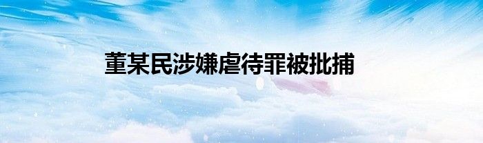 董某民涉嫌虐待罪被批捕
