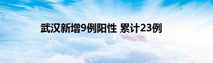 武漢新增9例陽性 累計23例