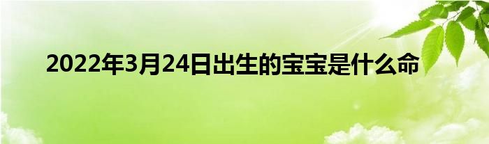 2022年3月24日出生的寶寶是什么命