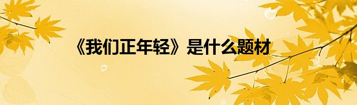 《我們正年輕》是什么題材